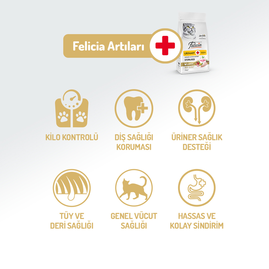 resimler/genel/Felicia 2 Kg Kolajenli Tavuklu Az Tahıllı Kısırlaştırılmış Kedi Maması HypoAllergenic Kedi Maması