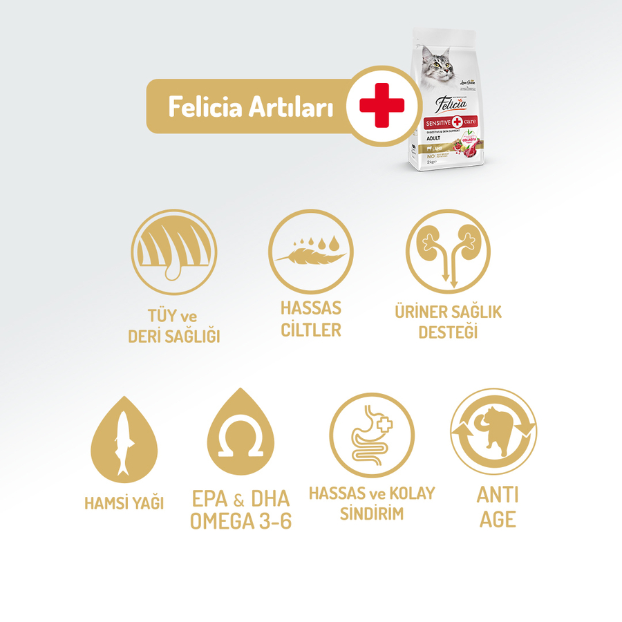 resimler/genel/Felicia 2 Kg Yetişkin Kuzu Etli Az Tahıllı HypoAllergenic Kedi Maması