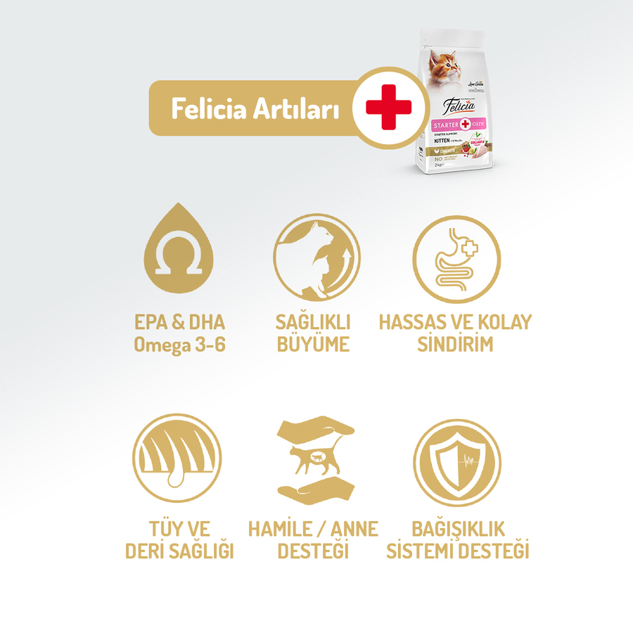 resimler/genel/Felicia 2 Kg Yavru Tavuklu Az Tahıllı HypoAllergenic Kedi Maması