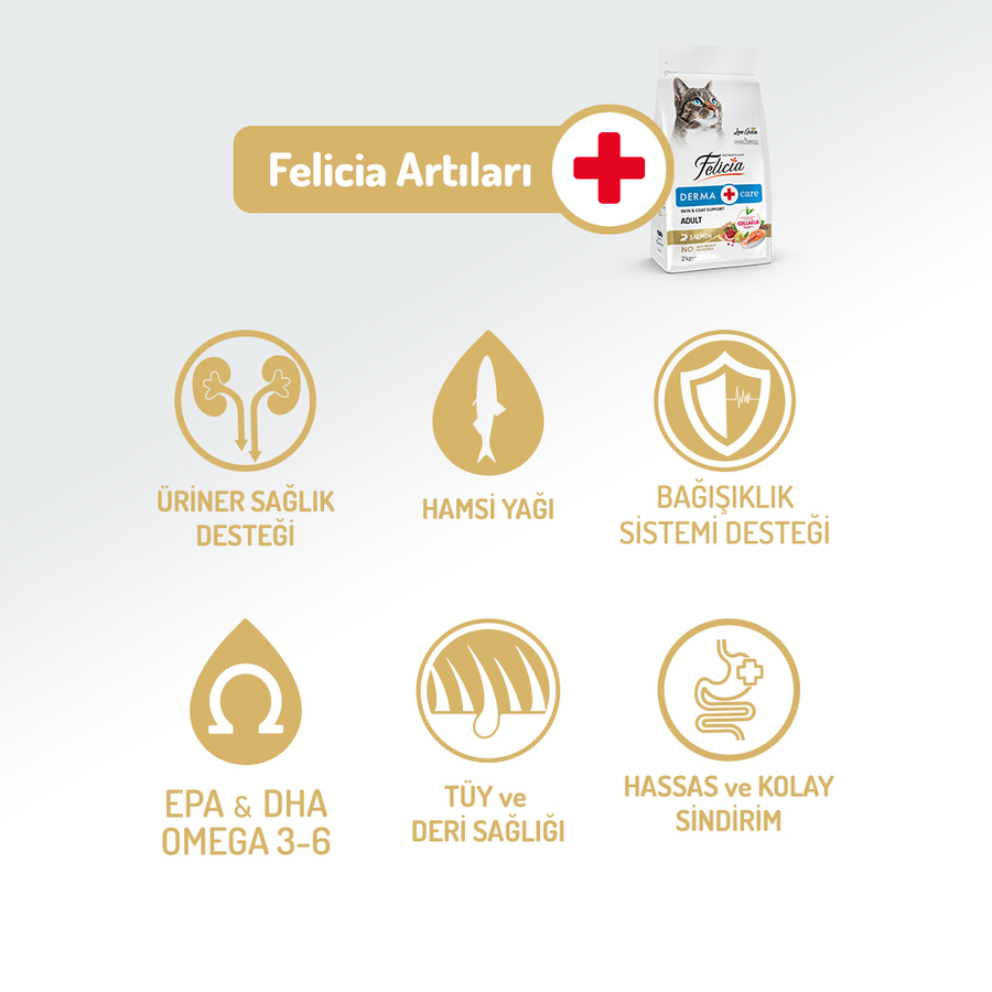 resimler/genel/Felicia 12 Kg Kolajenli Somonlu Az Tahıllı Yetişkin Kedi Maması HypoAllergenic Kedi Maması