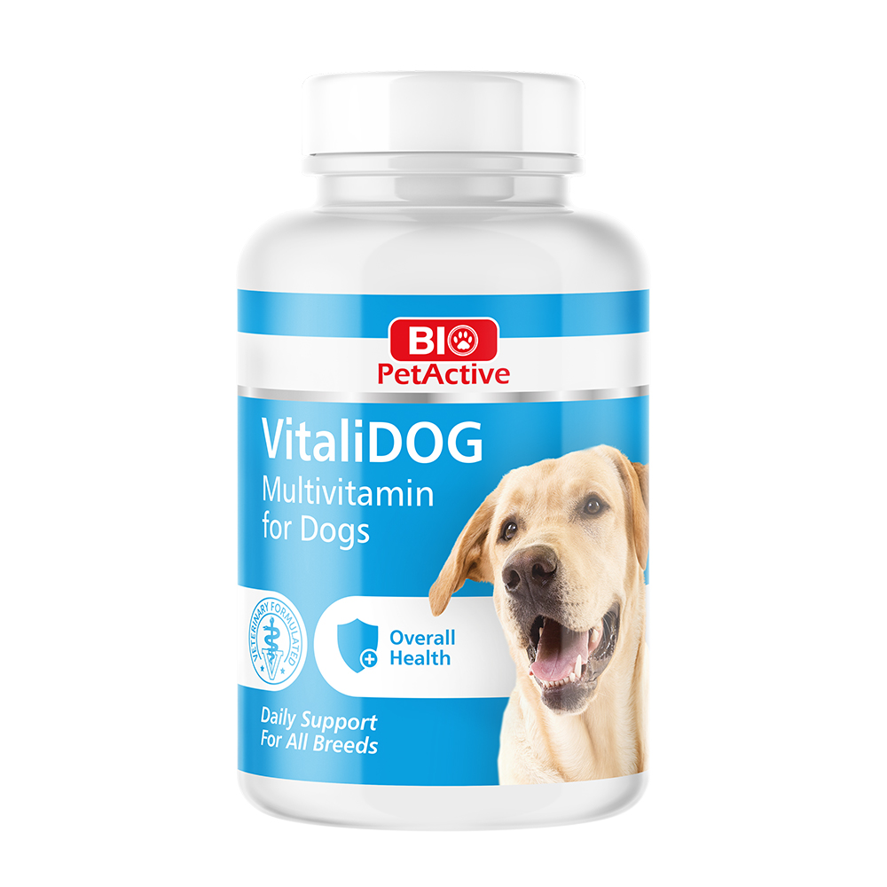 BioPetActive Vitalidog 0,5 150 Tablet (Köpekler İçi̇n Multivi̇tami̇n Tablet) 75 Gr bpa014
