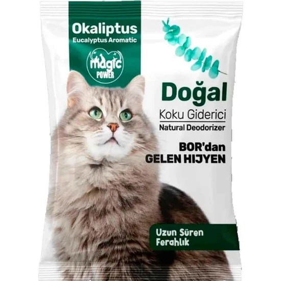 Magic Power magic power okaliptus kokulu koku giderici 25gr ' TEKLİ'